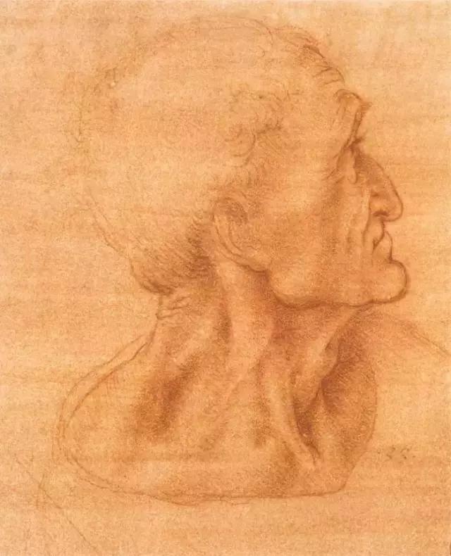 达芬奇最出名的画作怎么画（芬奇绘画作品全集）(193)