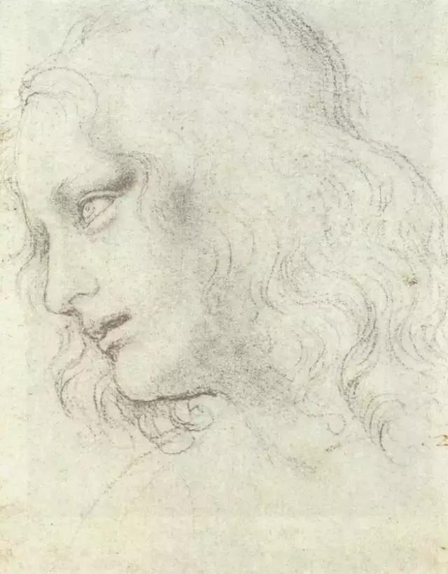 达芬奇最出名的画作怎么画（芬奇绘画作品全集）(192)
