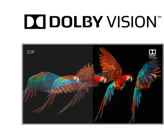杜比视界和dts有什么区别（科普什么是Dolby）(4)