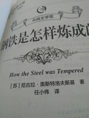 钢铁是怎样炼成的摘抄优美语句（钢铁是怎样炼成的）(2)