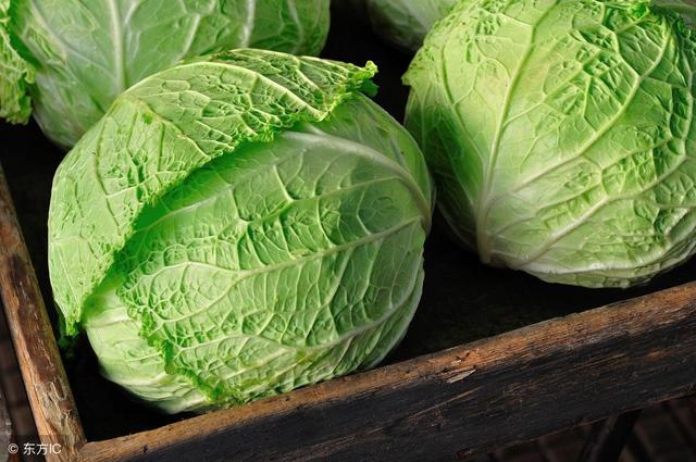 卷心菜的英语怎么说cabbage（卷心菜用英语怎么说）(1)