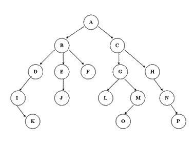 二叉树程序基本讲解（二叉树必备知识）(2)