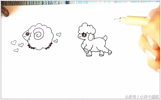 画一只简单又漂亮的绵羊步骤：我们一起画一群超萌的绵羊(1)