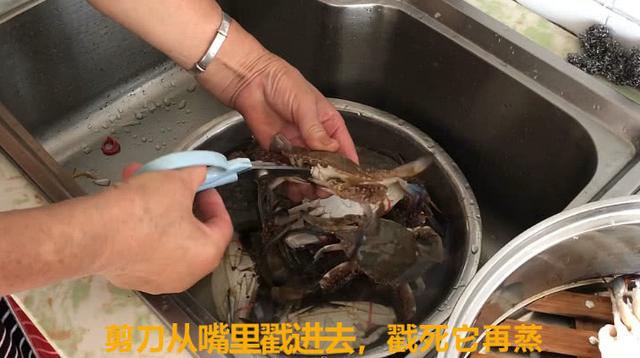 清蒸螃蟹怎么吃才好吃（这才是清蒸螃蟹的正确做法）(3)