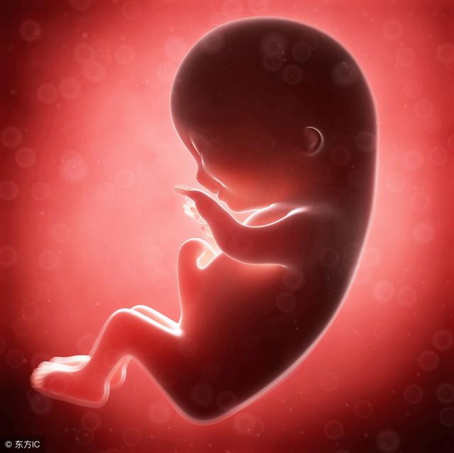 孕后期胎儿双顶径一周长多少（胎儿双顶径4.4厘米）(3)