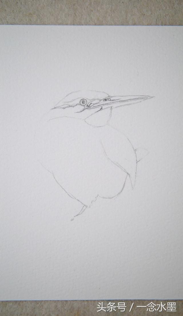 绘画简单小鸟的画法（晚上一起画画吧）