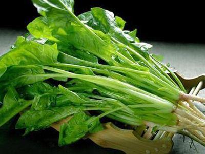 吃菠菜可以引发痛风吗（痛风人群吃菠菜对健康有益还是有害）(2)