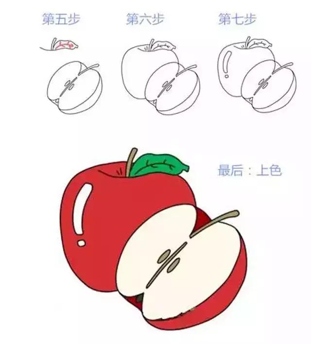 水果简笔画大全步骤图简单（16种水果简笔画大全）(28)