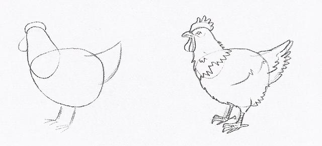 小鸡和小狗赛跑起点和终点怎么画（公鸡母鸡鸭子都是蛋生的）(5)
