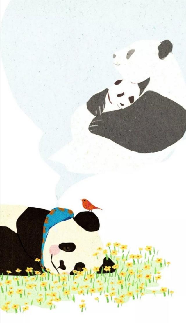 熊猫壁纸可爱又漂亮（可爱型熊猫壁纸）(120)
