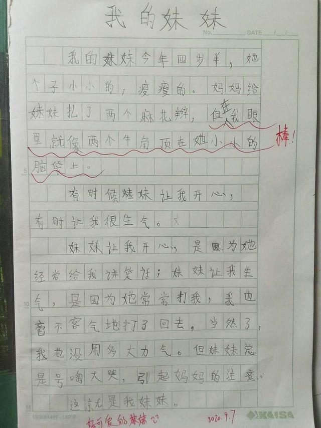 小学生周记的正确格式怎么写（二年级小学生周记）(5)