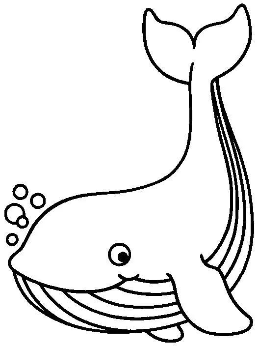 0到9简笔海洋动物怎么画（海洋动物简笔画高清线稿）(10)