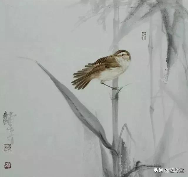 工笔画虫鸟画（50幅活灵活现的工笔小麻雀）(20)