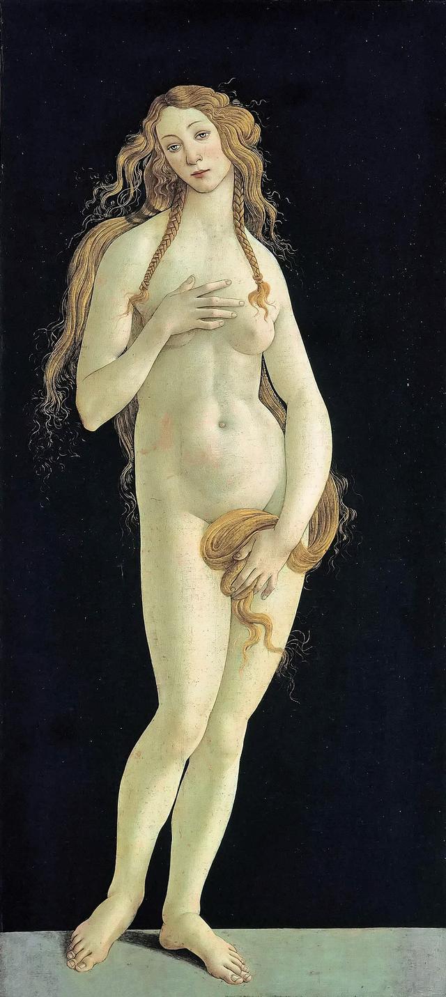 波提切利名画（意大利文艺复兴初期画家）(16)