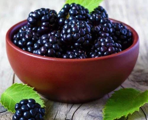 类似蓝莓的水果是什么（你肯定只知道草莓蓝莓）(3)