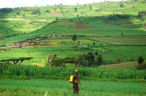 国家卢旺达（卢旺达共和国简介）(4)