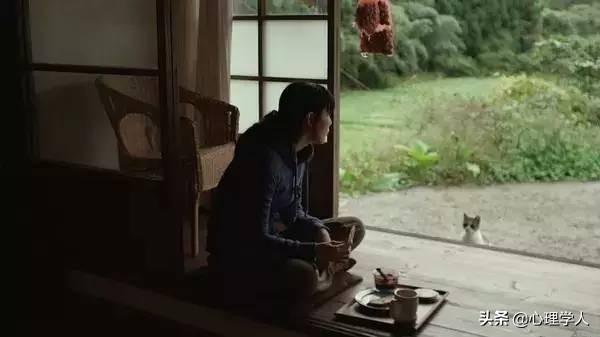 10部良心日本治愈系美食电影（日本慢文化生态美食电影纪实审美与诗意化呈现）(3)