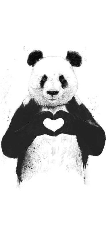 熊猫壁纸可爱又漂亮（可爱型熊猫壁纸）(117)