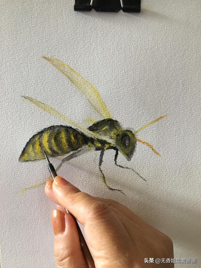 蜜蜂复杂画法（手绘一只非常有立体感的小黄蜂）(6)