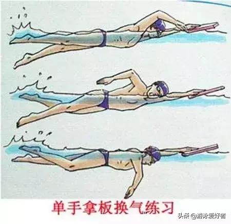 自由泳入门技巧及要领（自由泳初学阶段和熟练阶段的划水路线）(8)