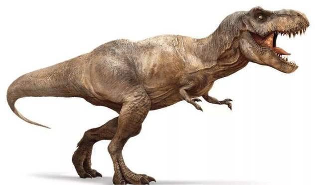 霸王龙为什么是食肉动物（为什么会有学者认为霸王龙在远古时期是食腐动物）(2)
