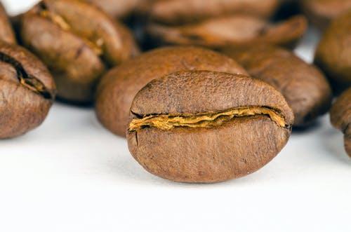 自烘焙咖啡豆的优点（你知道烘焙咖啡豆都有怎样的特点吗）