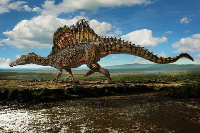 恐龙世界中最强的恐龙（不计其数的恐龙）(4)
