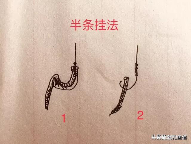 蚯蚓钓鱼的正确挂钩方式（钓鱼最常见的三种蚯蚓挂钩法）(3)