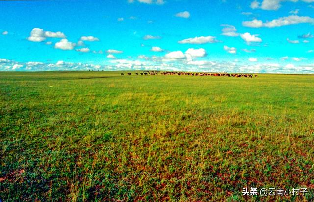 蒙古草原上的真实生活（远离草原的蒙古族）(4)