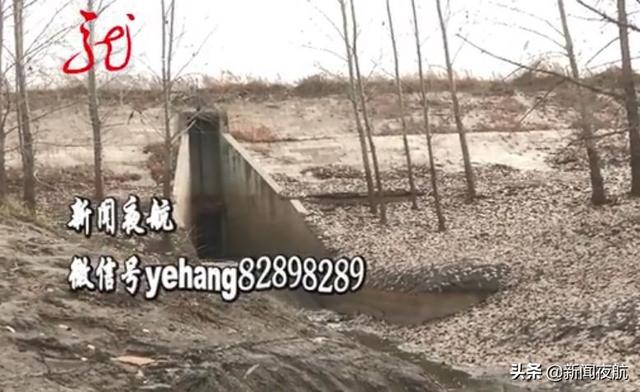 松花江重大水污染事件的危害（生活污水直排松花江一个半月）(2)