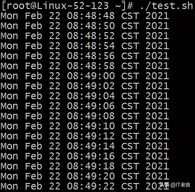 linux查看后台正在运行的进程（Linux系统进程永久放入后台可靠运行的几种方法总结）(2)