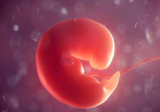 怀孕50天未见胎心和胎芽只见孕囊（怀孕50多天孕囊在长）(7)