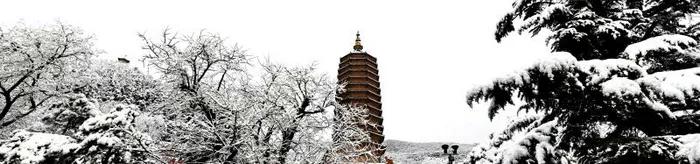 北京佛教圣地灵光寺（美丽寺院北京灵光寺）(5)