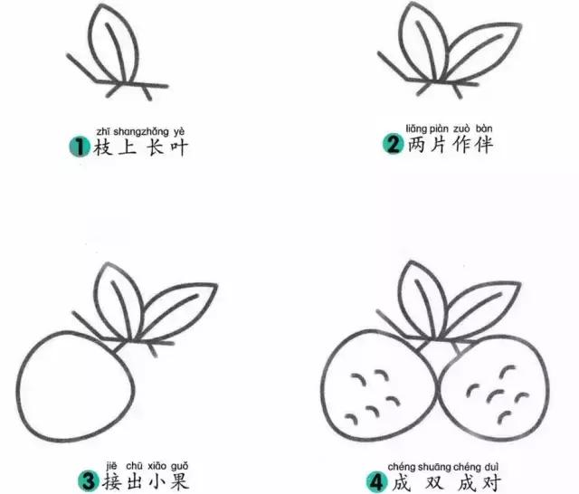 水果简笔画大全步骤图简单（16种水果简笔画大全）(45)