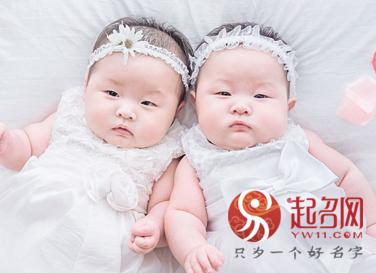 适合双胞胎女孩名字的四字成语（巧妙运用成语给双胞胎起有寓意的名字）(1)