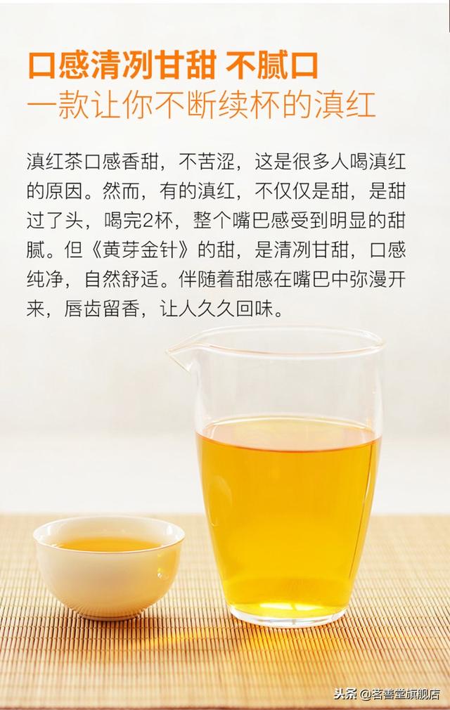 滇红大金针茶的功效与作用（知道什么是滇红金针茶吗）(2)