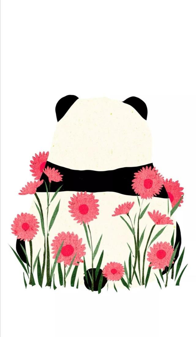 熊猫壁纸可爱又漂亮（可爱型熊猫壁纸）(119)