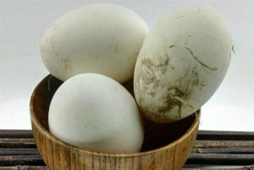孕妇孕后期吃鹅蛋有什么好处（孕妇孕晚期吃鹅蛋并非有）(2)