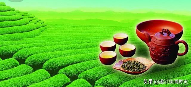工夫茶和普通茶的茶叶区别（工夫茶还是功夫茶）(10)