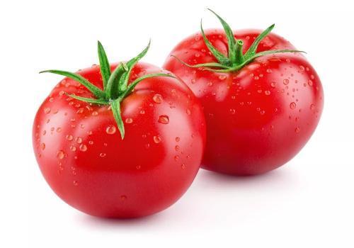 种植西红柿有什么注意事项（种西红柿需要注意什么）(2)