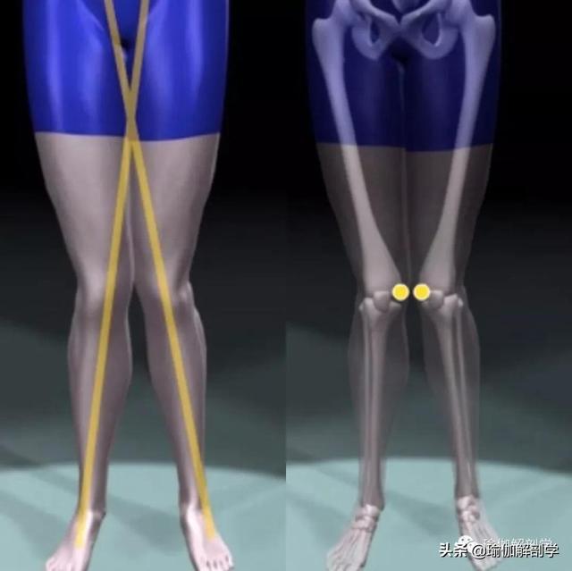 x型腿矫正的瑜伽方法（练瑜伽什么是）(7)