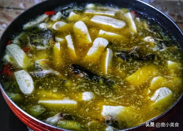 豆腐煮黄骨鱼家常做法（10块买4条黄骨鱼搭配豆腐焖）(5)