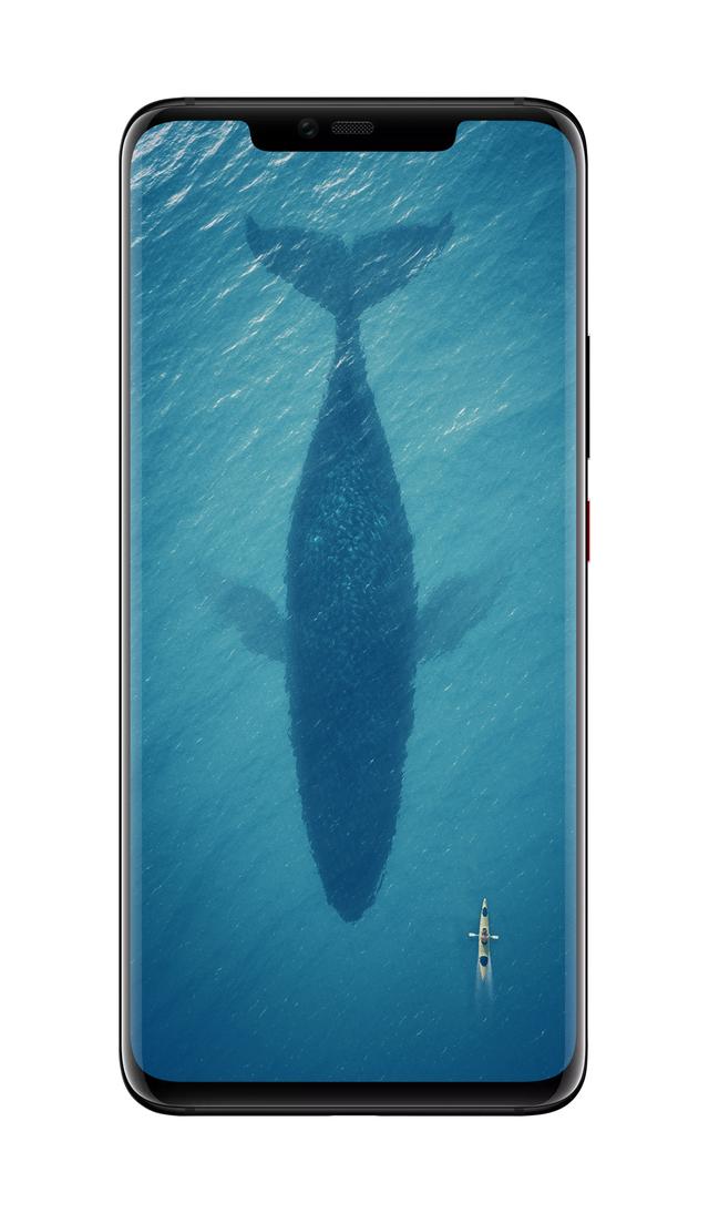 超高清的海洋手机壁纸（大海无量碧波荡漾）(5)