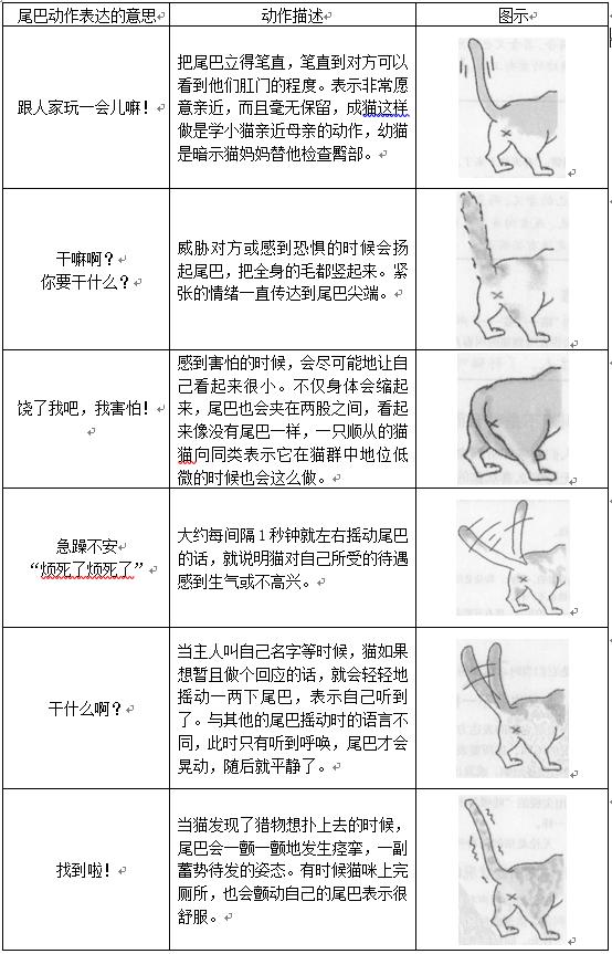 猫抓尾巴是什么原因（如何读懂猫尾语）(6)