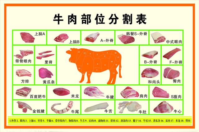 牛肉最嫩的肉是哪部位（牛肉最嫩的部位是哪儿）(1)
