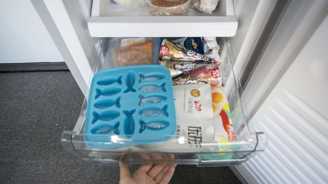 超薄迷你冰箱推荐款有哪些（迷你冰箱不是小户型的救星）(50)
