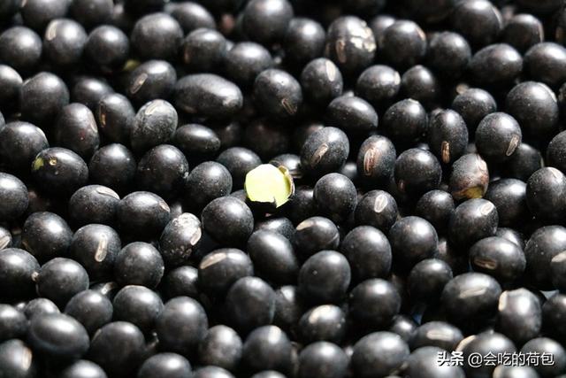 黑豆的12种家常吃法（冬天要常吃黑豆）(1)