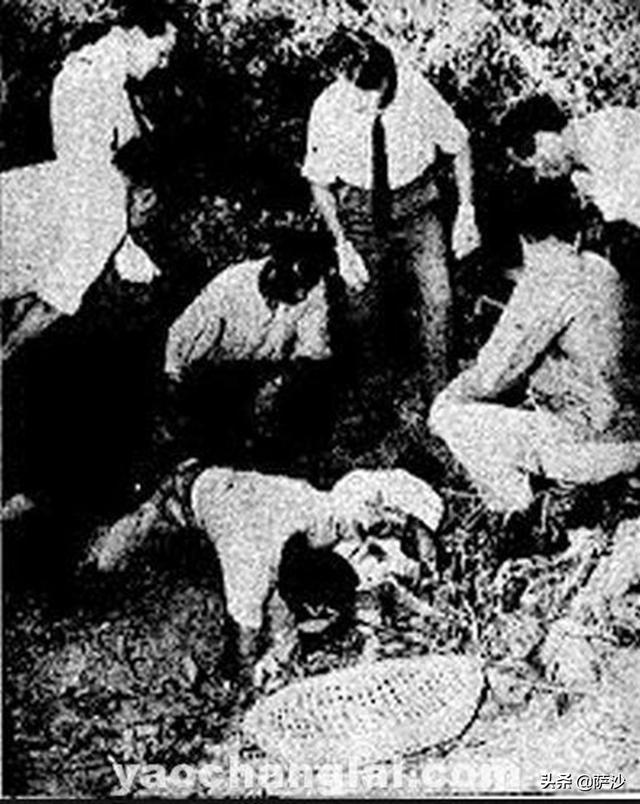 香港十大奇案三狼案（11月28日三狼案主犯被绞死1962年）(7)