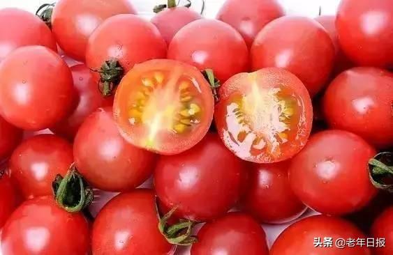 大个粉番茄是转基因的吗（小西红柿都是转基因的）