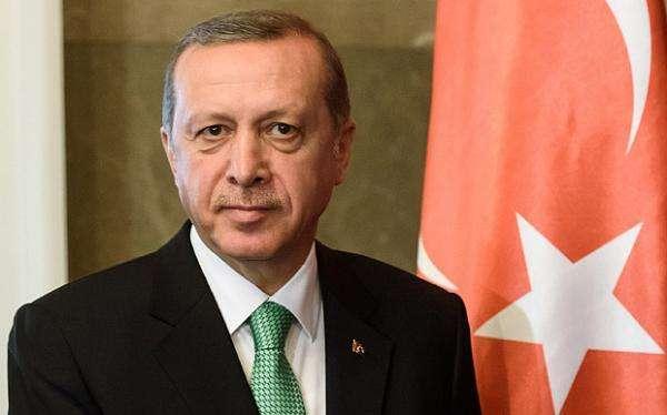 当土耳其总统埃尔多安走过身边时（为什么说土耳其总统埃尔多安是格鲁吉亚人）(7)